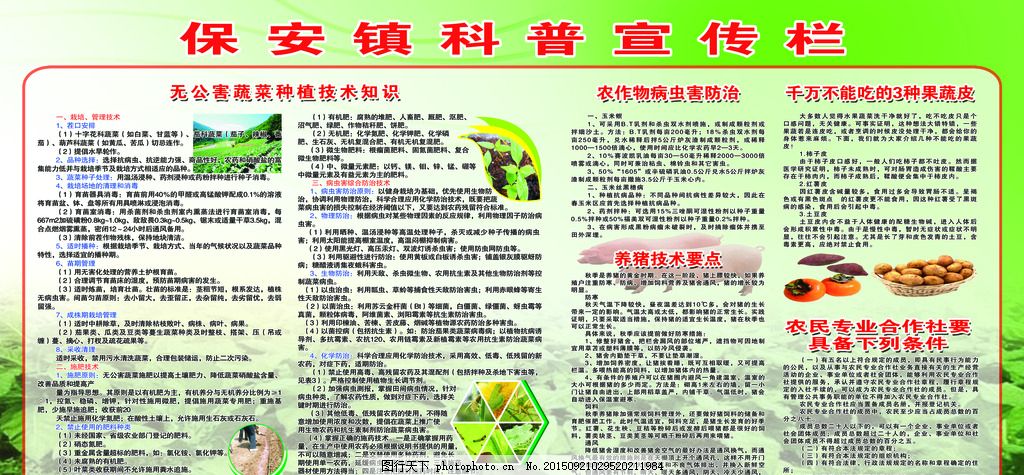 科普之光 宣传栏的美丽与力量